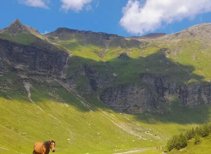 Boeheimkasa דירה