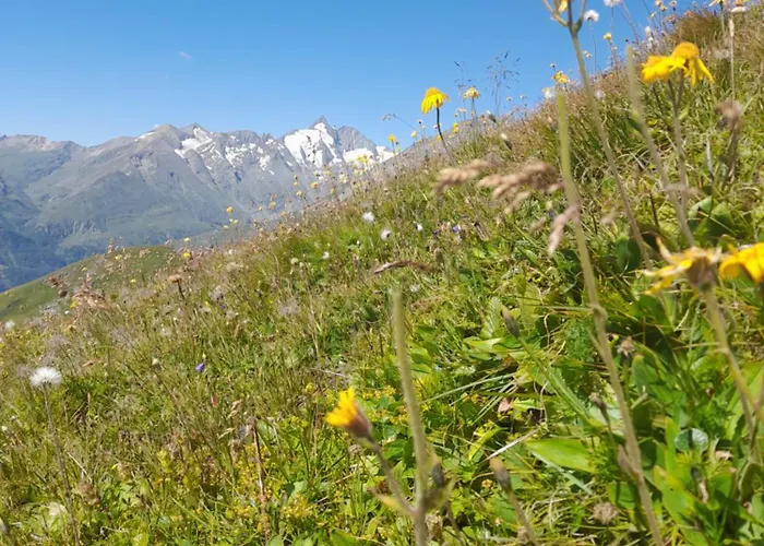 Boeheimkasa היליגנבלוט